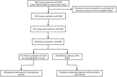 Cerebrospinal fluid ctDNA testing shows an advantage over plasma ctDNA testing in advanced non-small cell lung cancer patients with brain metastases